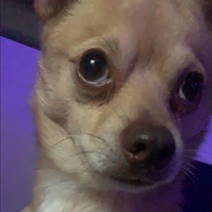 Meet your Posher, Alizayne